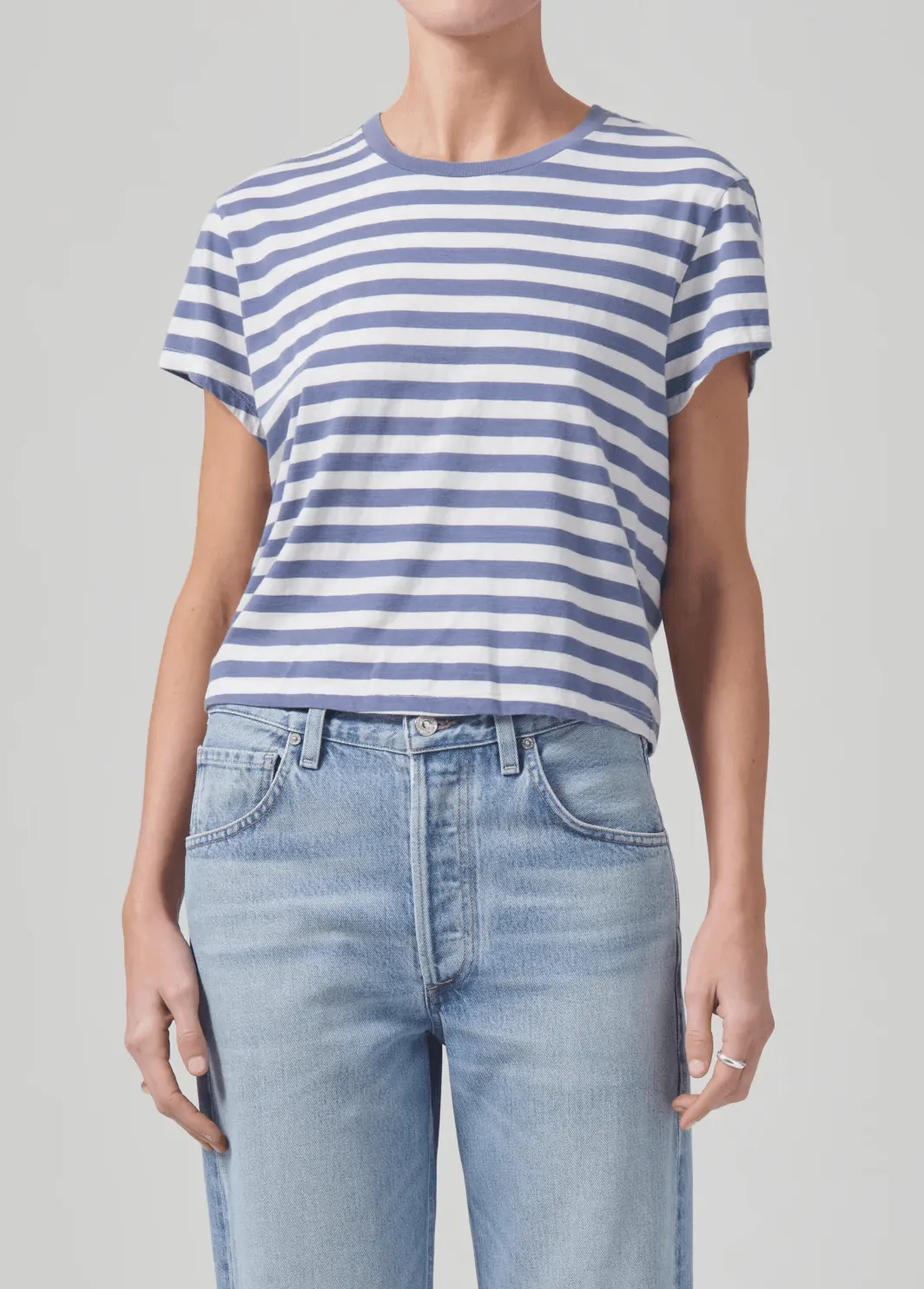 Citizens of Humanity Kyle Tee Adobe Stripe