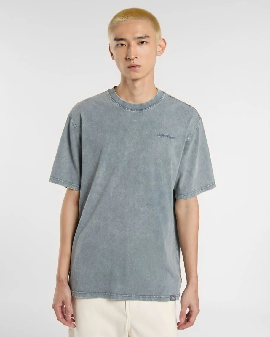 Dickies Plentywood Tee - Stormy Weather