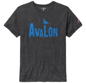 Men's AV Retro Bird Victory Falls Tee - Varsity Slate