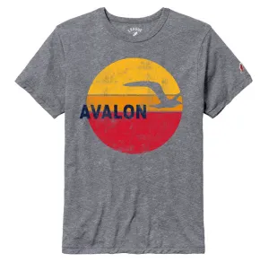 Men's AV Sunset Bird Victory Falls Tee - Fall Heather