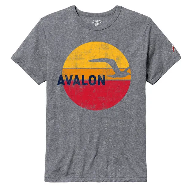 Men's AV Sunset Bird Victory Falls Tee - Fall Heather