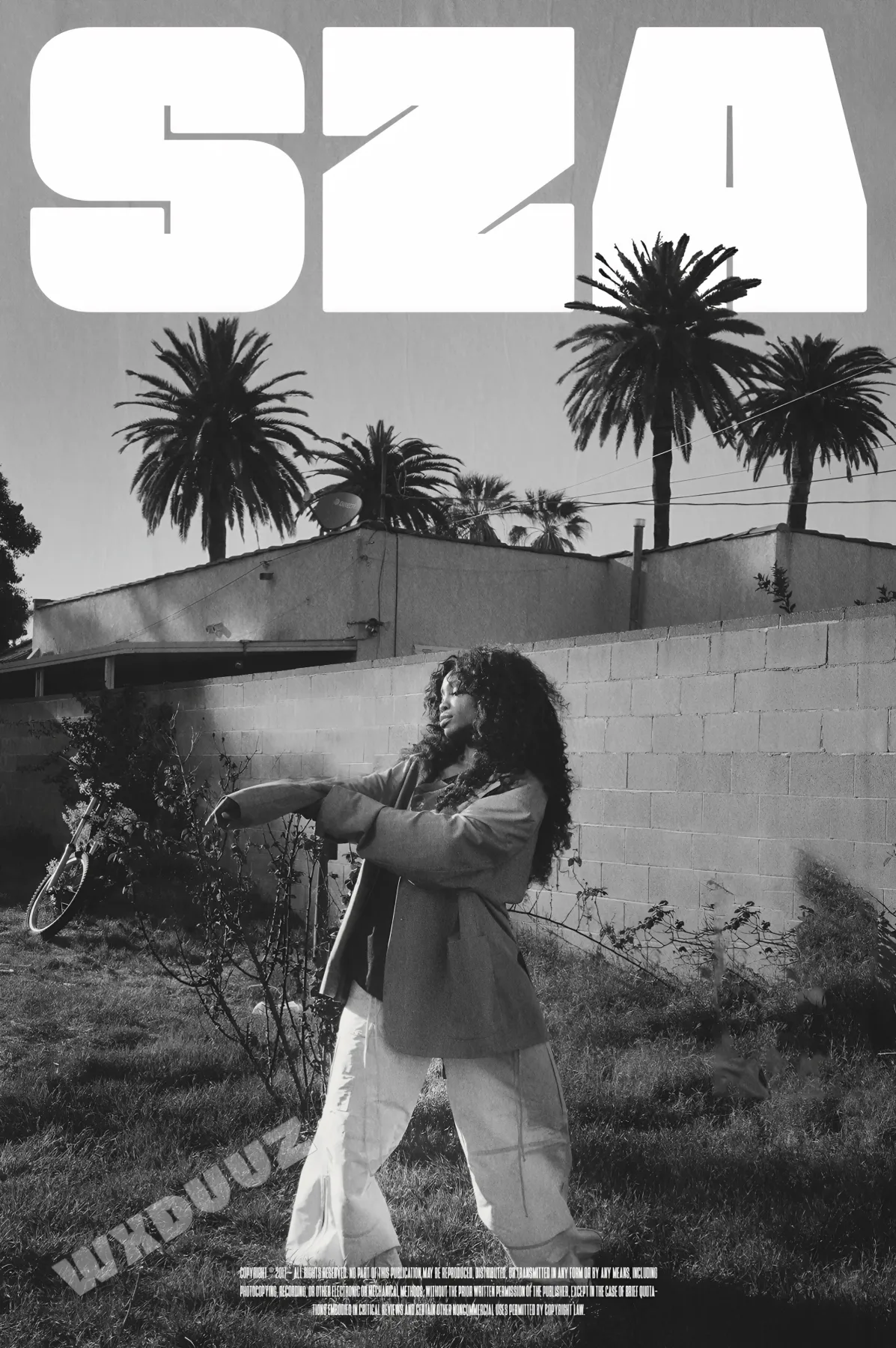 R&B ROYALTY: SZA | WALL ART