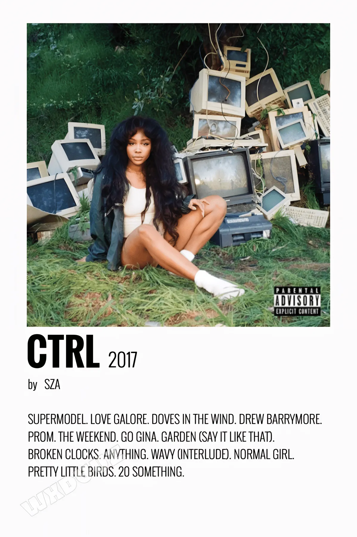 R&B ROYALTY: SZA | WALL ART
