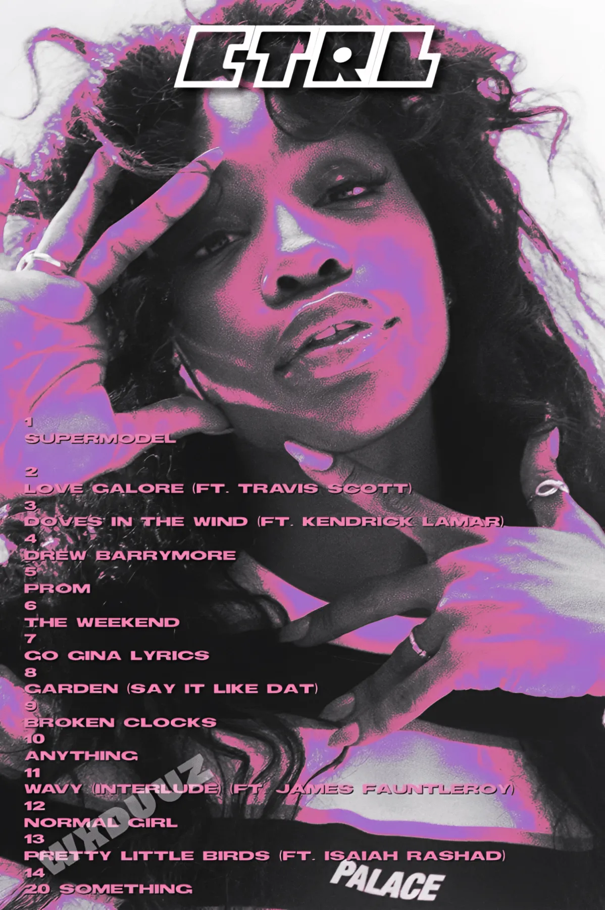 R&B ROYALTY: SZA | WALL ART