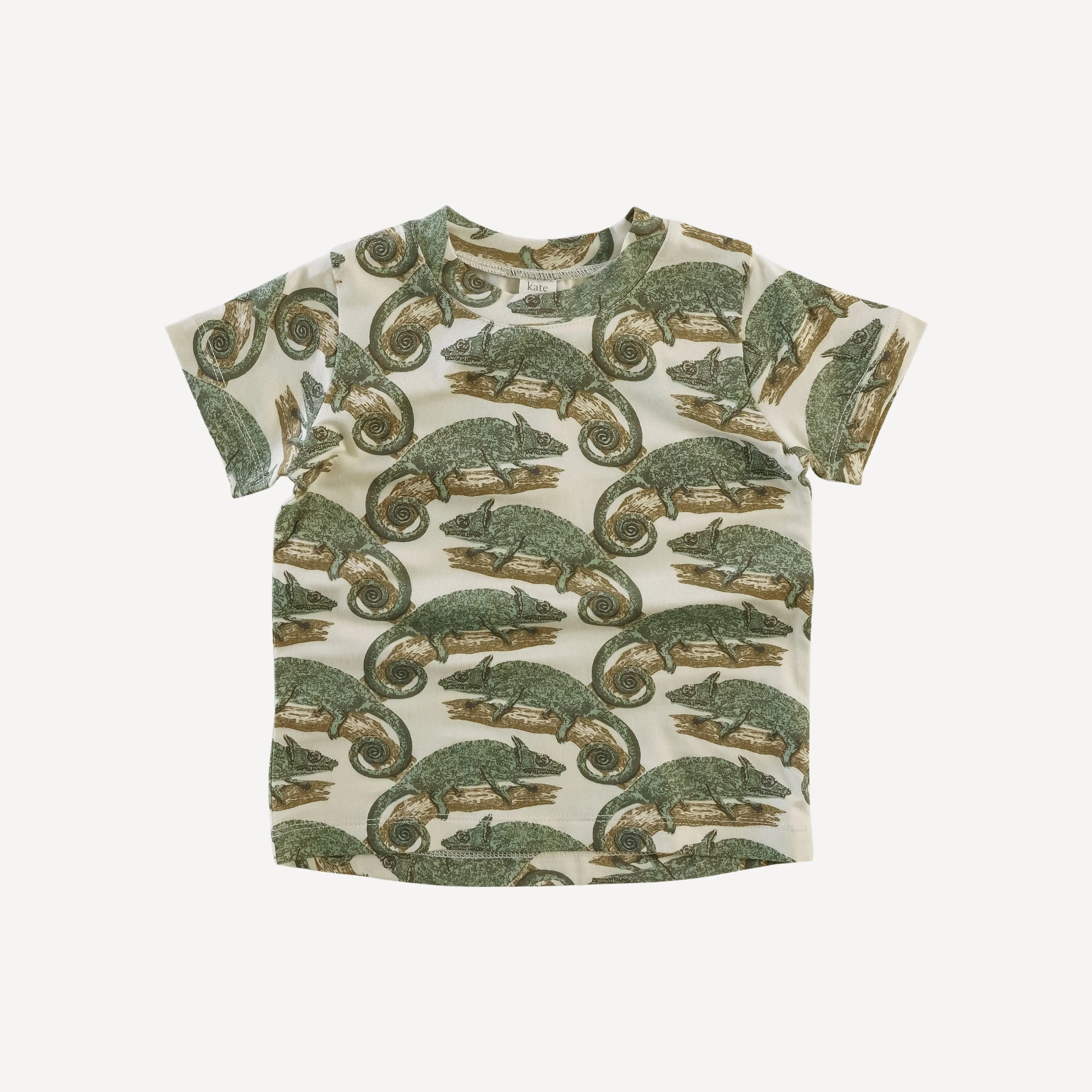 short sleeve essential boxy tee | chameleon | modal