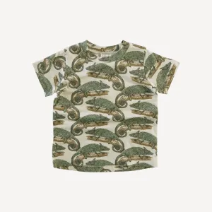 short sleeve essential boxy tee | chameleon | modal