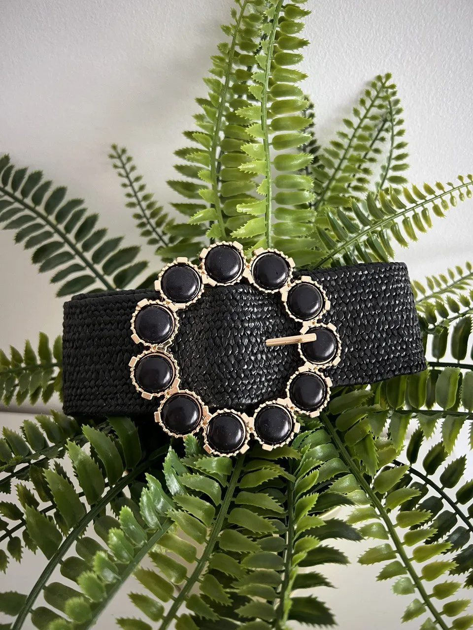 Sunset belt two