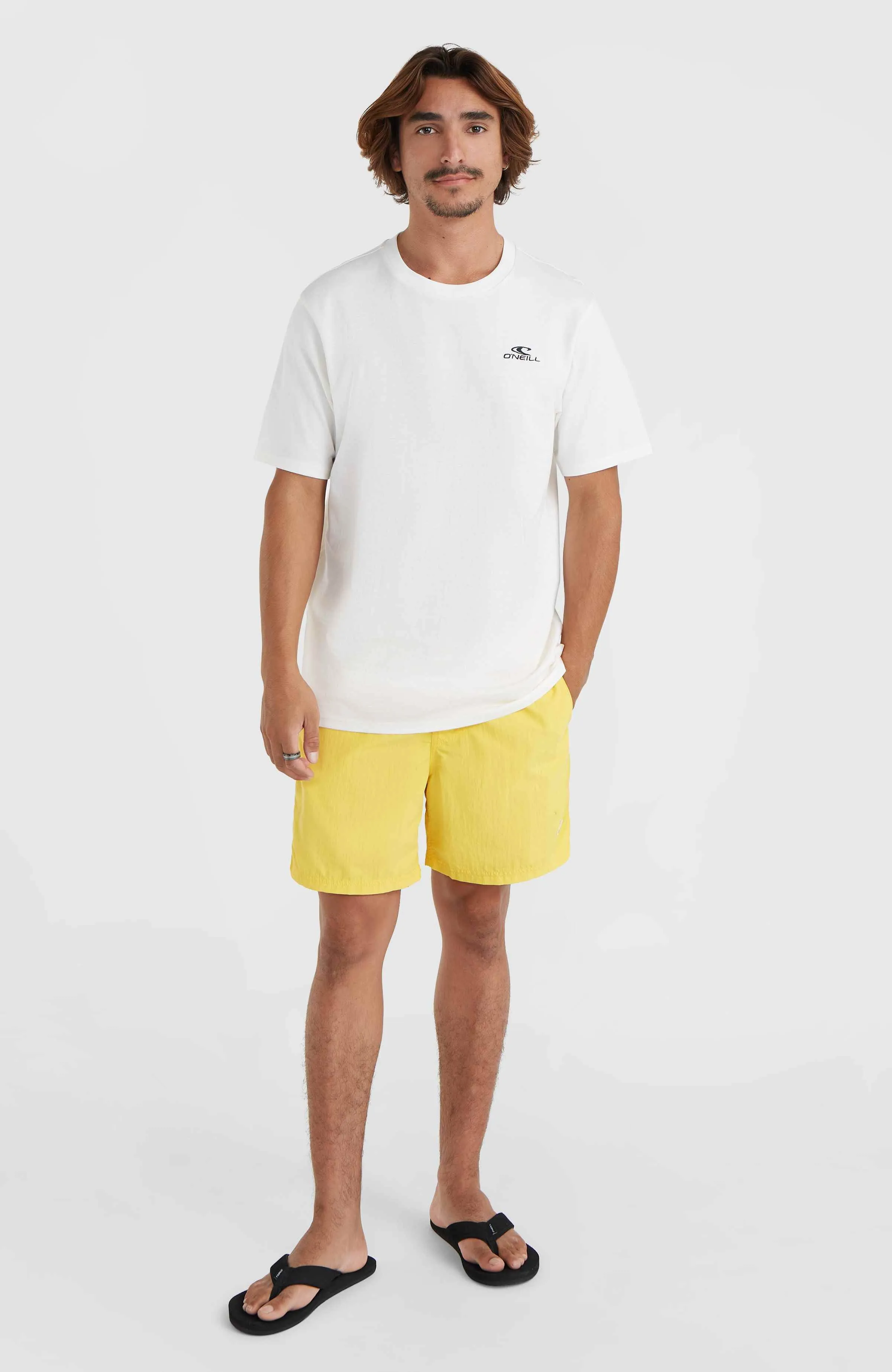 Vert 16'' Swim Shorts | Dandelion